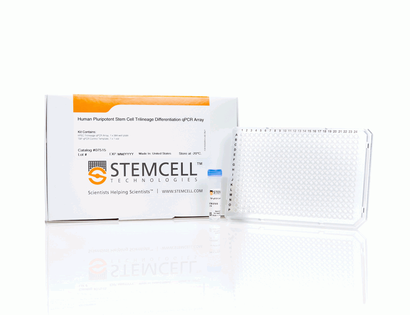 mTeSR1 - cGMP | 製品情報 | ベリタス